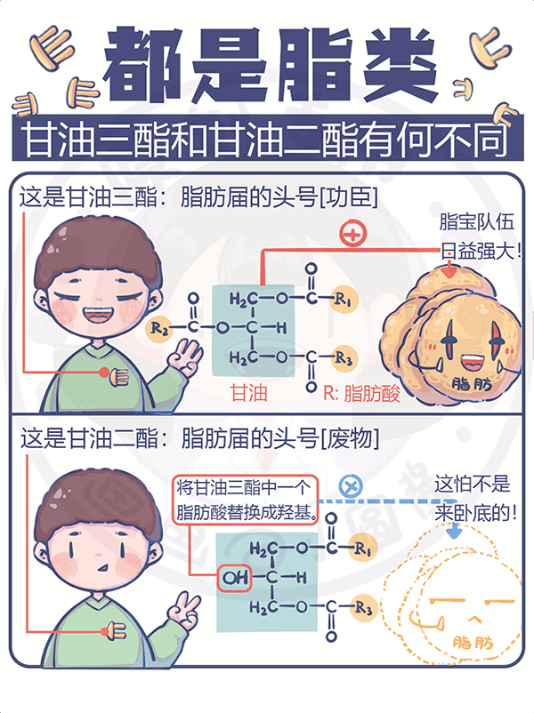 都是脂類甘油三酯和甘油二酯有何不同？